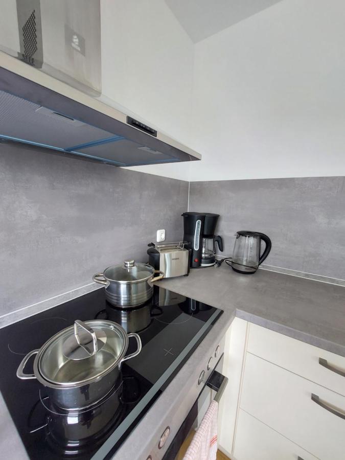 Moderne Wohnung Mit Vollausstattung In Ruhiger Lage, W-Lan Grossrohrsdorf エクステリア 写真