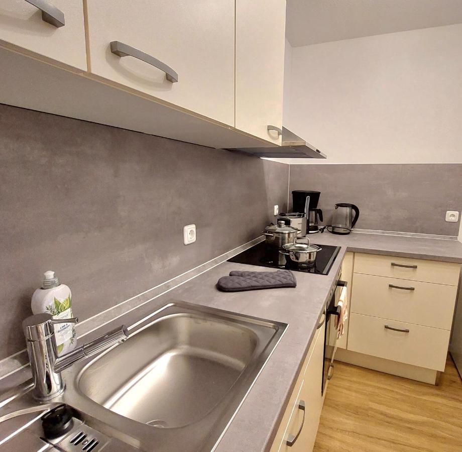 Moderne Wohnung Mit Vollausstattung In Ruhiger Lage, W-Lan Grossrohrsdorf エクステリア 写真